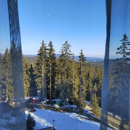 Mountain & Апартамент Пампорово