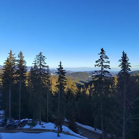 Mountain & *