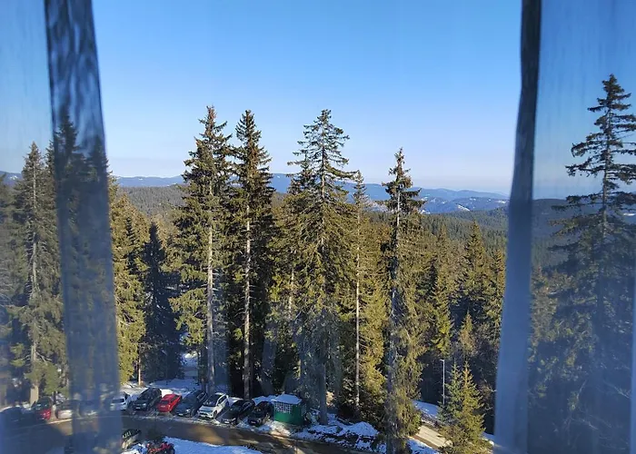 Mountain & Appartamento Pamporovo